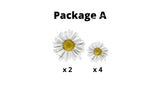 Daisy Flower - Yellow and Pink Package (Total 6 or 12pcs)  | Yard Sign Outdoor Lawn Decorations | Yardabrate Designer Series