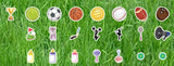 Package #3 - Platinum Package - Rental Business (300+ pcs - Letters, Numbers & Decors) - Y-0011