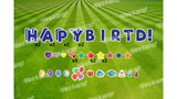 Blue Happy Birthday Letters Yard Card Sets 24" Tall (Total 41pcs) | Birthday Yard Sign (Y-0001)
