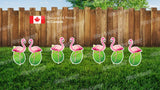 Flamingo Signs Package – Flamingo 24" Tall (Total 7pcs) | Yard Sign Outdoor Lawn Decorations