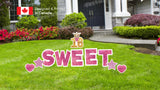 Sweet 16 Pink Package – SWEET 18" Tall + 16&Crown Sign 18" Tall  + Decors 12" Tall (Total 10pcs)  | Yard Sign Outdoor Lawn Decorations
