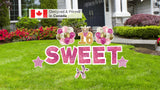 Sweet 16 Pink Glitter Package – SWEET 24" Tall + 16 Crown Sign 24" Tall + Decors (Total 12pcs)  | Yard Sign Outdoor Lawn Decorations